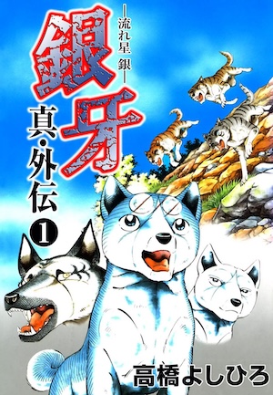 銀牙関連まとめて Amazon.co.jp: 伝説保存ノ書 銀牙四代 (ニチブンコミックス