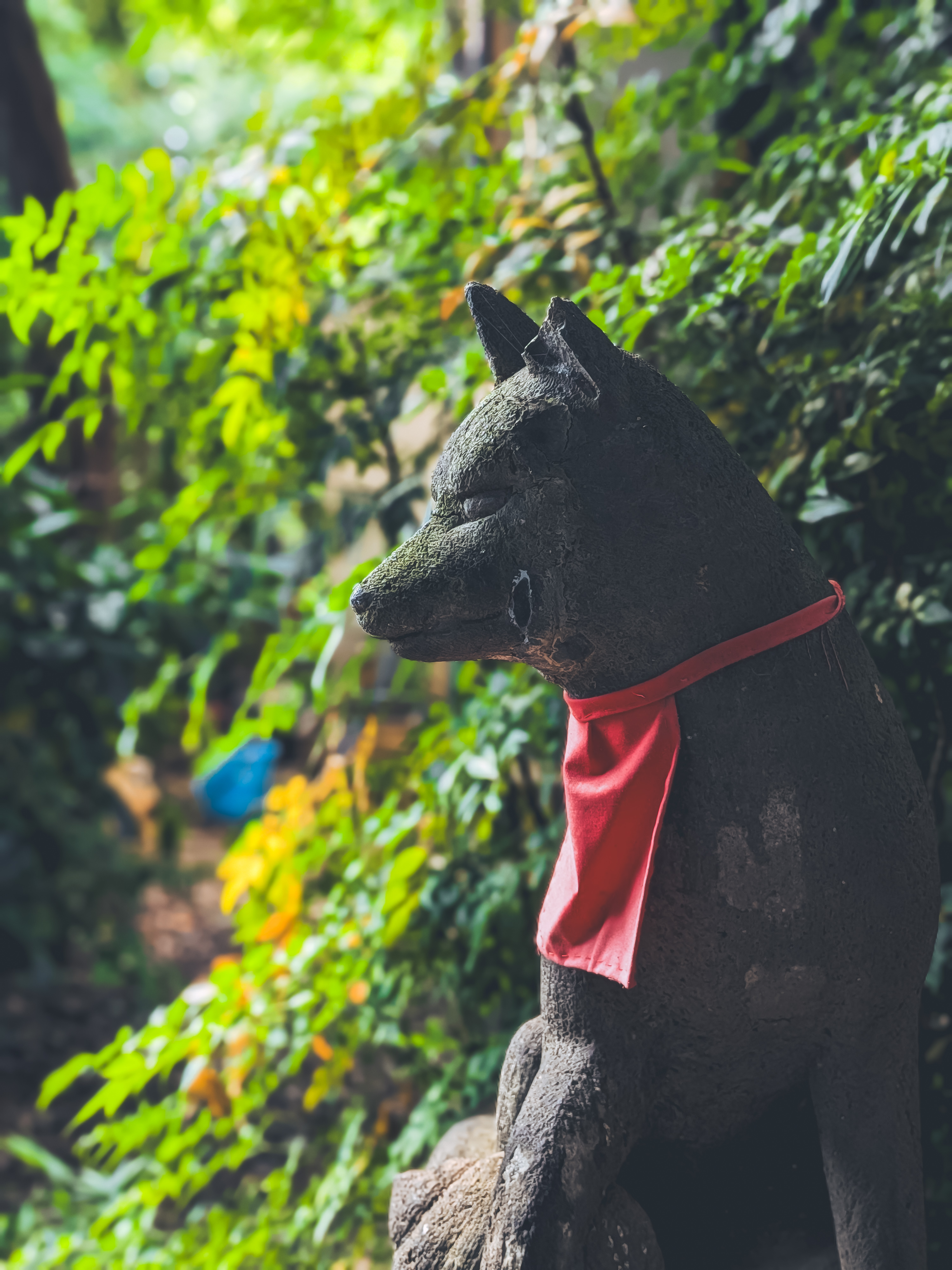 Google Pixel 10の写真をLightroomで現像②