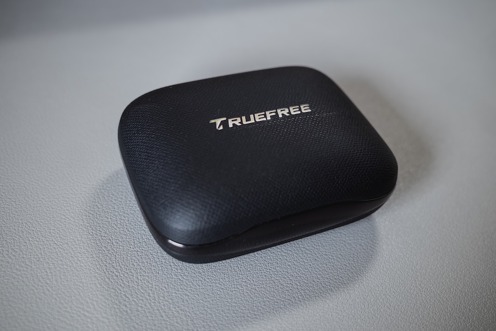 TRUEFREE EarFit DS1ケース
