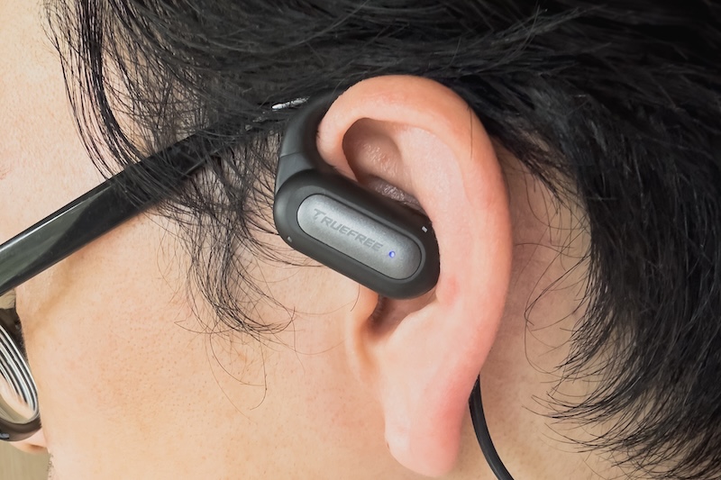 TRUEFREE EarFit DS1装着例（横）