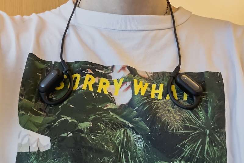 TRUEFREE EarFit DS1ネックバンドで首掛け