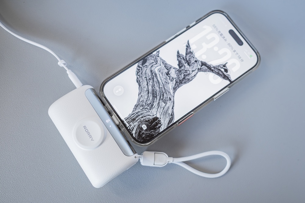 RORRY D5-10000を充電しながらiPhone 16 Proへパススルー充電